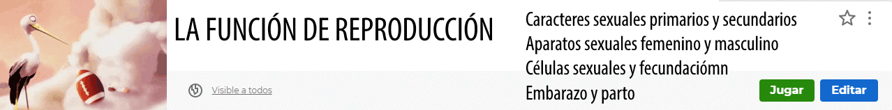 Función de reproducción